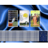  Tarot voor 'dummies'  ONLINE Cursus met huiswerkbegeleiding